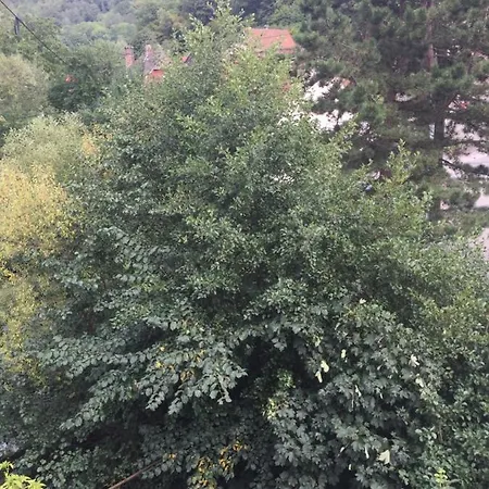 Nature Et Bien-etre A La Fecht Sondernach